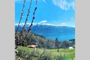 VillaTullia Ferienhaus mit Seesicht Gardasee Tignale